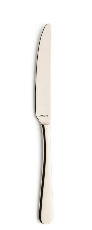 Austin 24 delige bestekset - 6 persoons- PVD Mat-18/0 Chroomstaal – Cadeauverpakking van Amefa in Champagne – productfoto 3 van 5