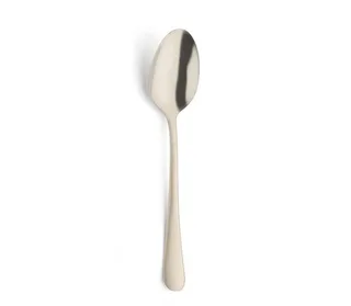 Austin 24 delige bestekset - 6 persoons- PVD Mat-18/0 Chroomstaal – Cadeauverpakking van Amefa in Champagne – productfoto 5 van 5