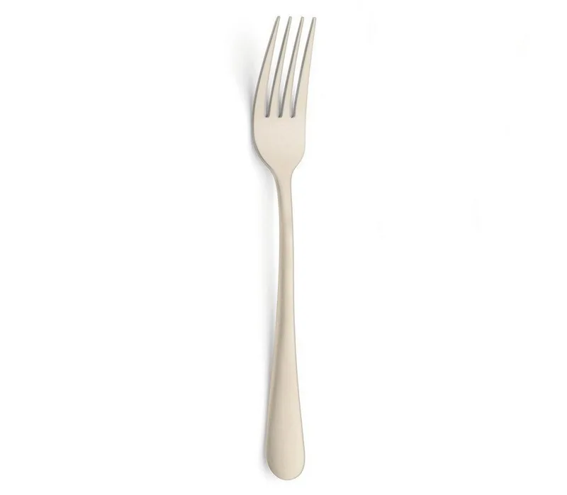 Austin 24 delige bestekset - 6 persoons- PVD Mat-18/0 Chroomstaal – Cadeauverpakking van Amefa in Champagne – productfoto 4 van 5