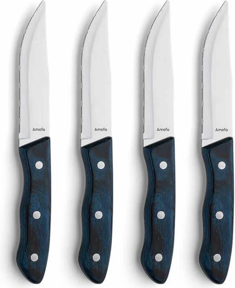 Hercule 4 delige steakmessenset by Amefa in Blue – product photo
