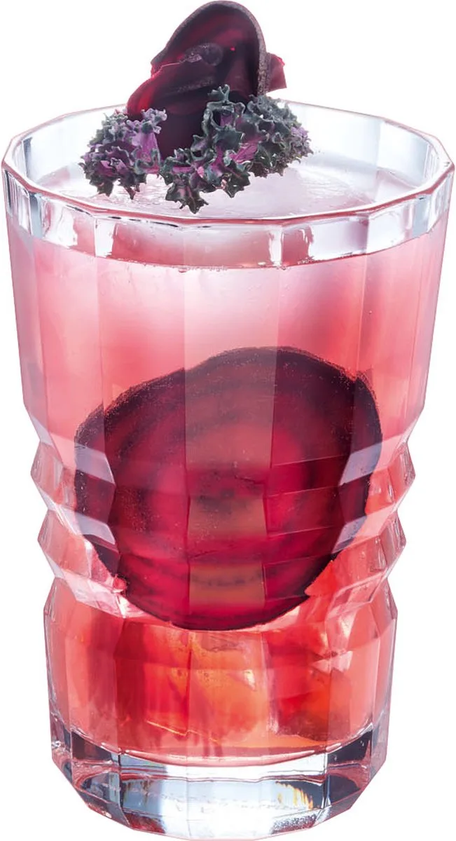 Louisiane Tumblers 36 cl / 360 ml | Set van 6 Stuks | Drinkglazen voor Water, Sap en Frisdrank | Glas | Vaatwasserbestendig de Arcoroc en Transparent – photo produit