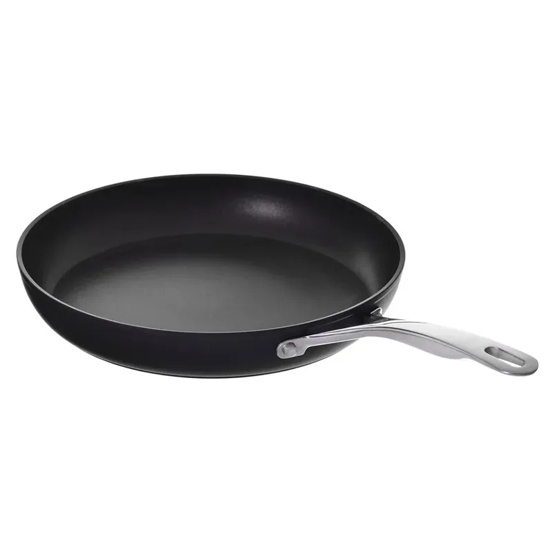 Alba Albg0l0.24u Koekenpan 24 Cm Zilver by Ballarini in Black – product photo 3 of 6