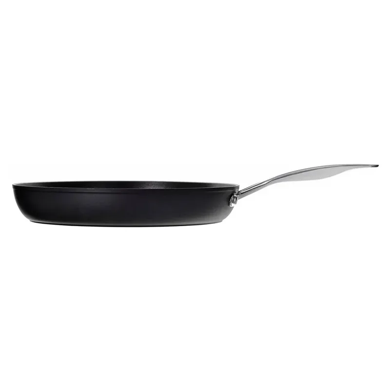 Alba Albg0l0.24u Koekenpan 24 Cm Zilver by Ballarini in Black – product photo 2 of 6