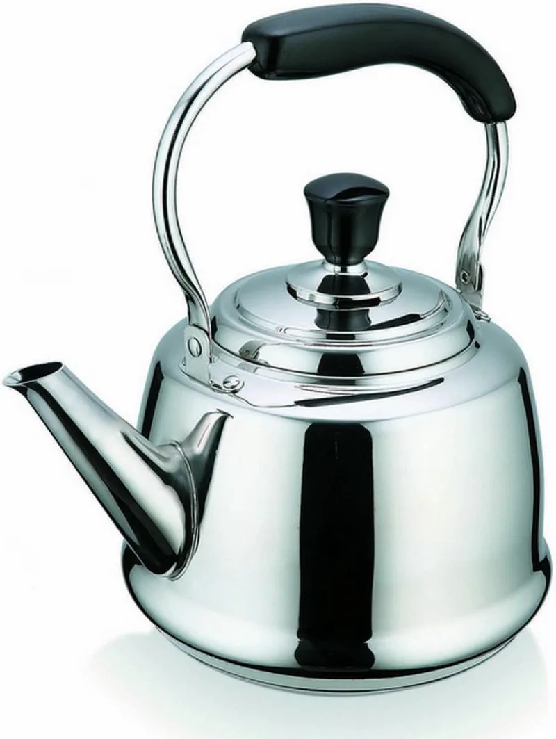 BEKA 12028454 Bouilloire, Acier Inoxydable, INOX, 27 x 25 x 19 cm by Beka in Silver – product photo