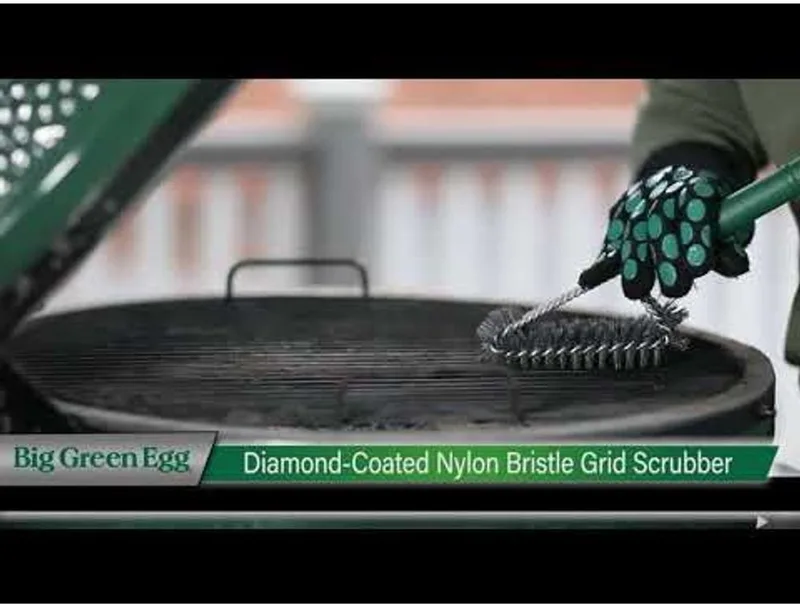 Diamond Coated Nylon Bristle Grid Scrubber - BBQ borstel by Big Green Egg in Green – product photo