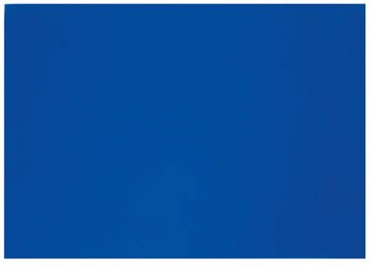 Kaas Snijplank HACCP - 450x330x20 mm - Ook Voor Vis van Boska in Blauw – productfoto