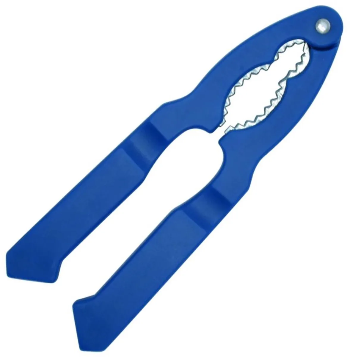 Notenkraker en schaaldieren Fackelmann Elemental van Fackelmann in Blauw – productfoto