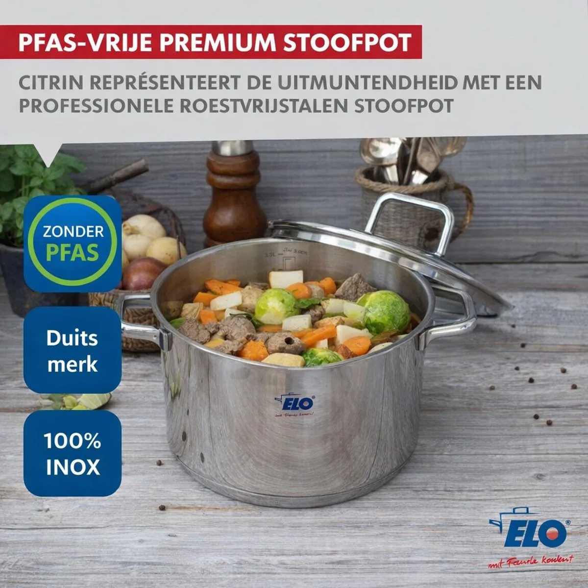 RVS braadpan 20 cm van 3,4 liter Elo Citrin van Fackelmann in Transparant, Grijs – productfoto