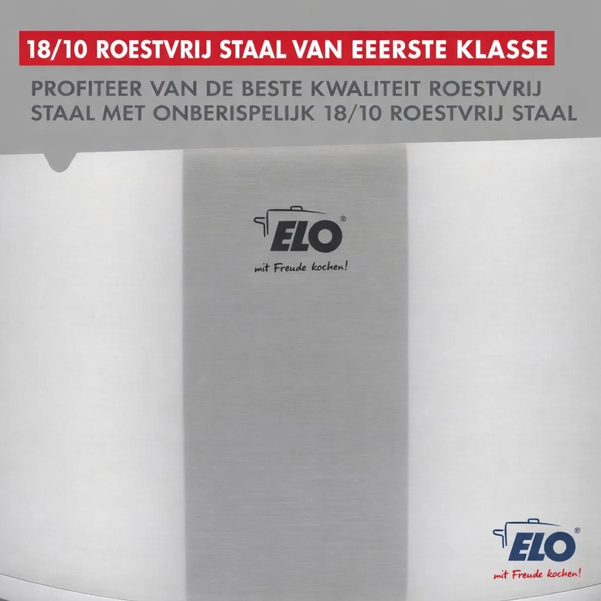 RVS braadpan 26 cm van 9,5 liter Elo Citrin van Fackelmann in Transparant, Grijs – productfoto
