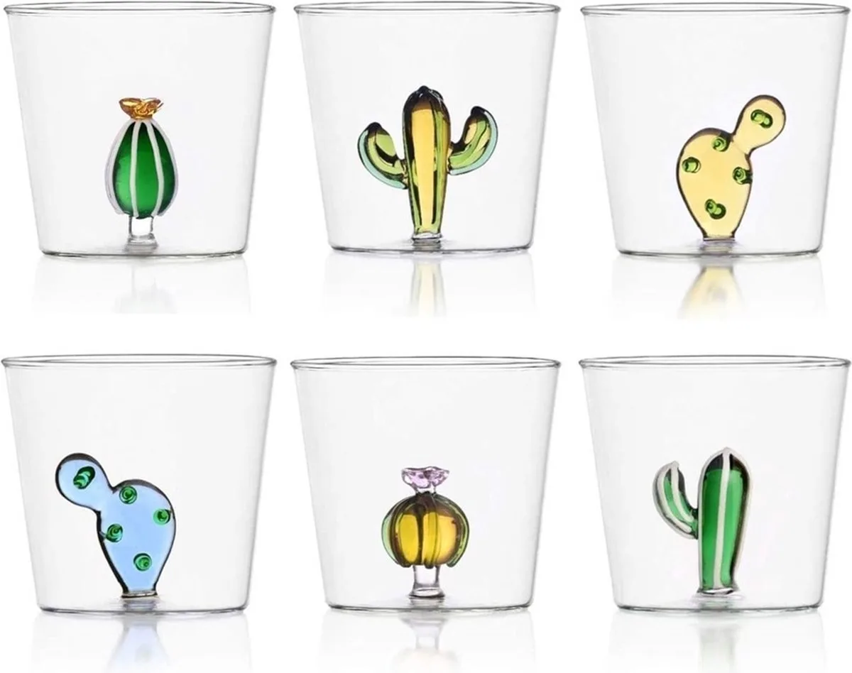 glas desert plant cactus set van 6 von Ichendorf in Transparent – Produktfoto