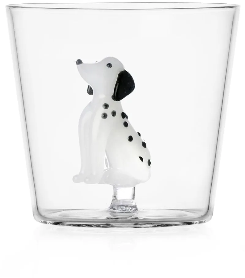 Waterglas Dalmata - Waterglazen van Ichendorf in Transparant – productfoto