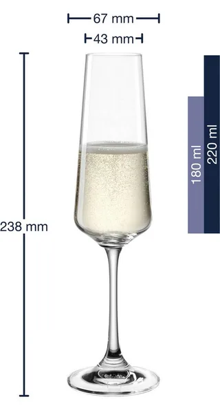 PALADINO Champagneglas 220ml - set/6 von Leonardo in Transparent – Produktfoto 3 von 5