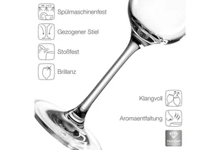 TIVOLI Champagneglas 210ml - set/6 by Leonardo in Transparent – product photo 3 of 5