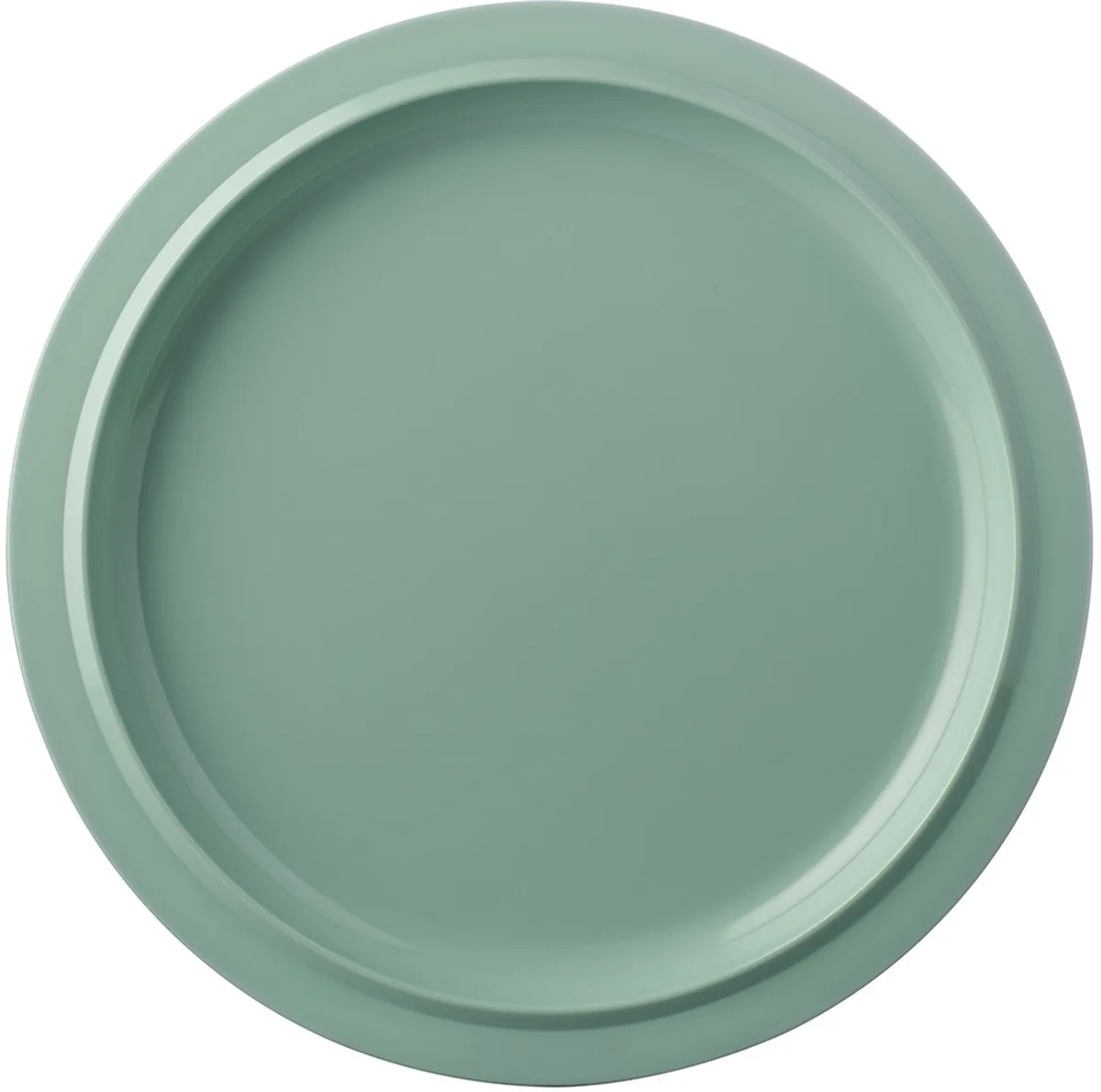 Plat bord Basic P250 van Mepal in Retro Green – productfoto