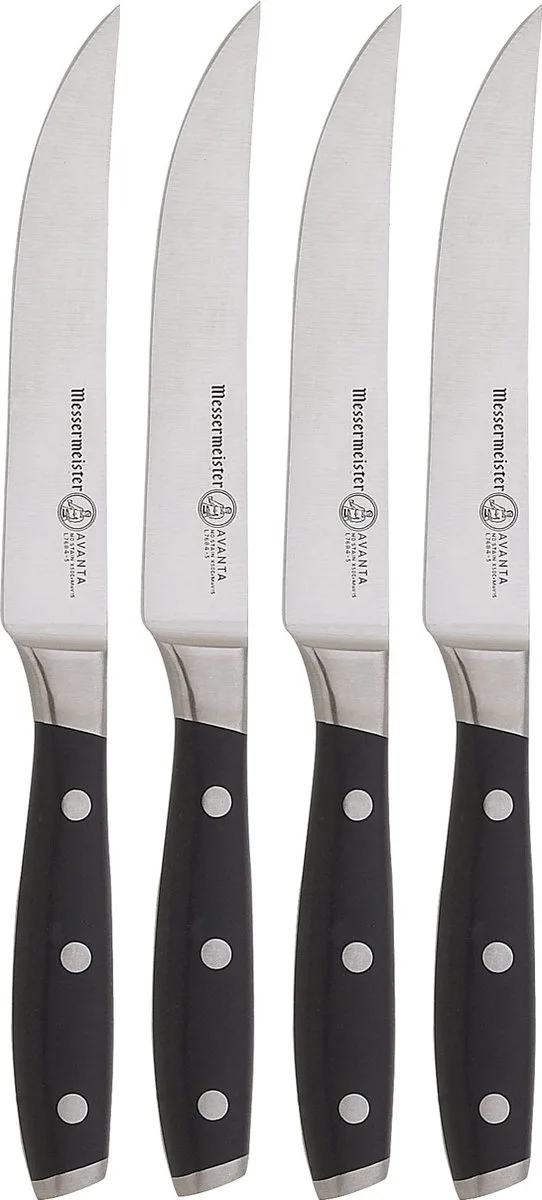 Avanta steakmessenset 4-delig - kunststof