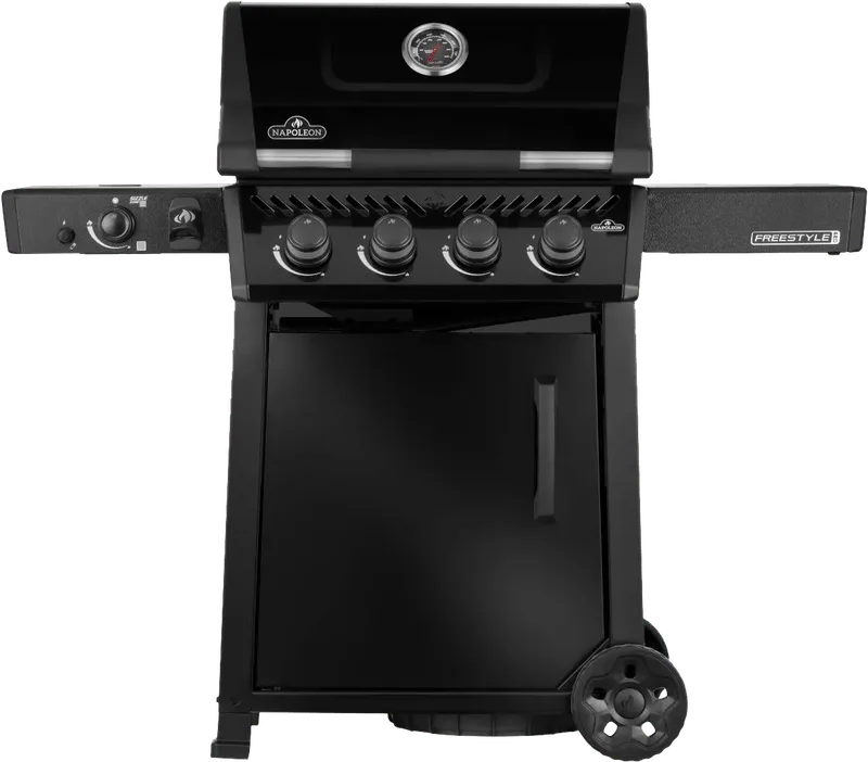 Freestyle PRO 425 DSIB van Napoleon – productfoto