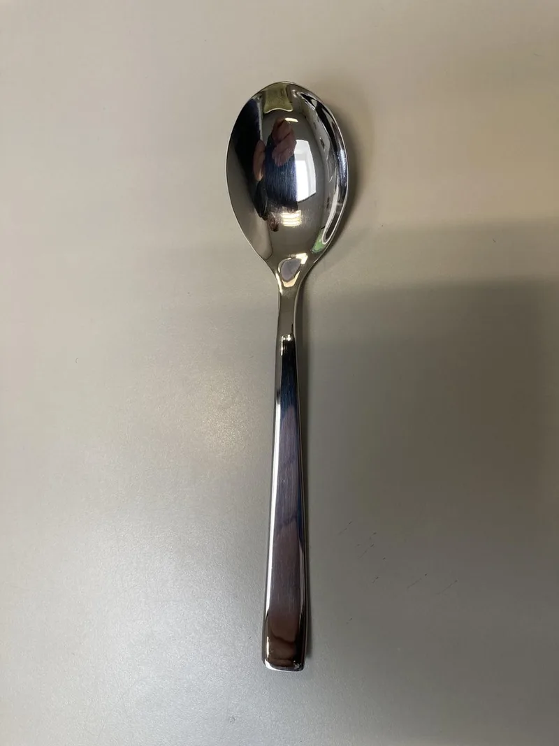 dessert lepel 12stuk - Gamma by Pintinox in Silver – product photo