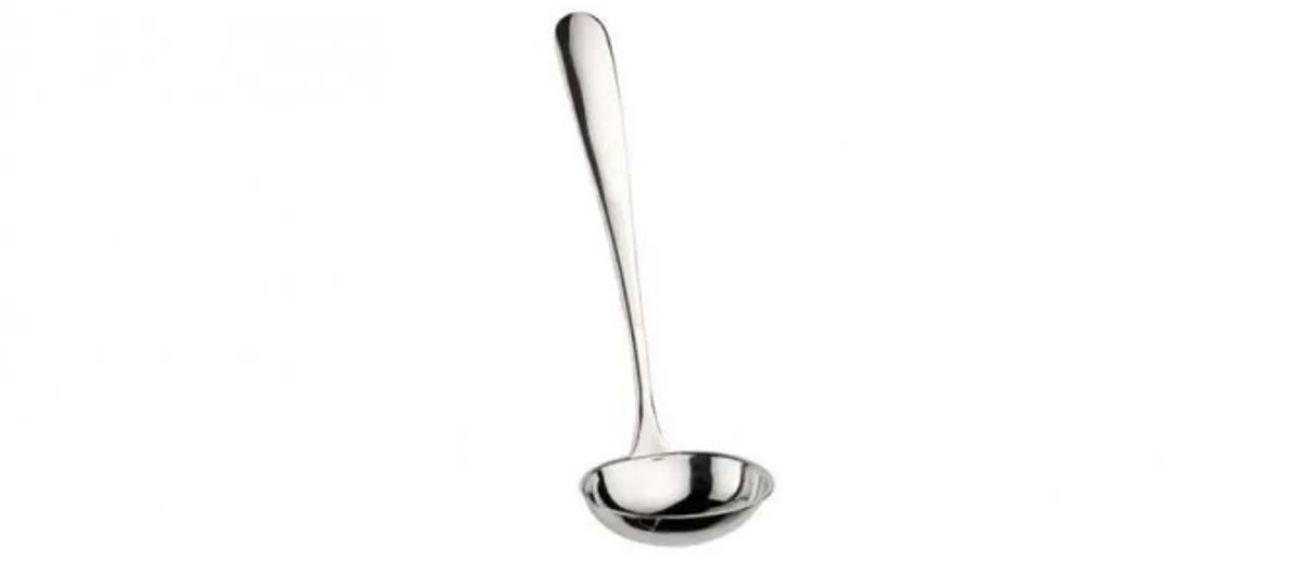 Swing Pollepel 3 mm van Pintinox in Inox – productfoto
