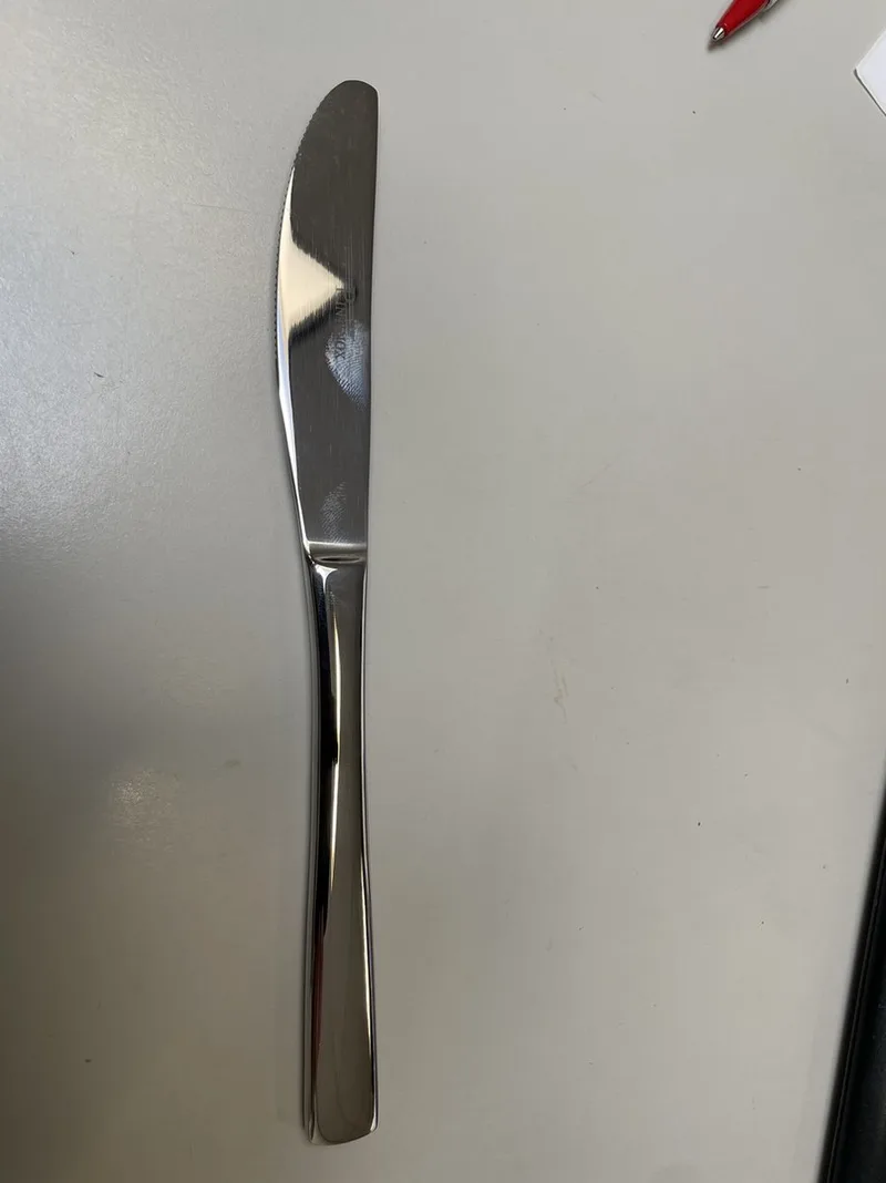 tafelmessen 12stuk - Gamma by Pintinox in Silver – product photo