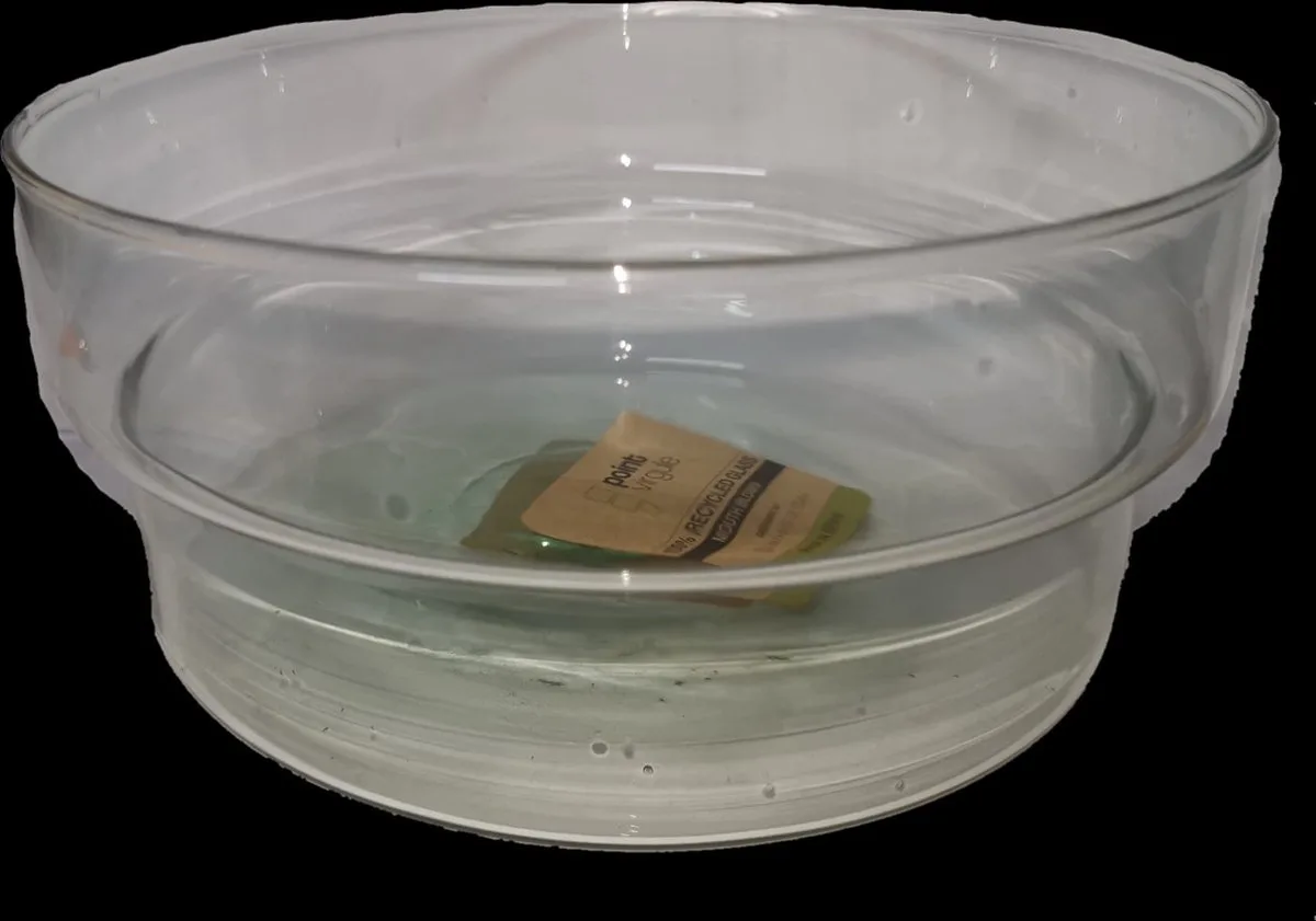 serveerschaal large diam 18.5cm van Point-Virgule in Groen – productfoto