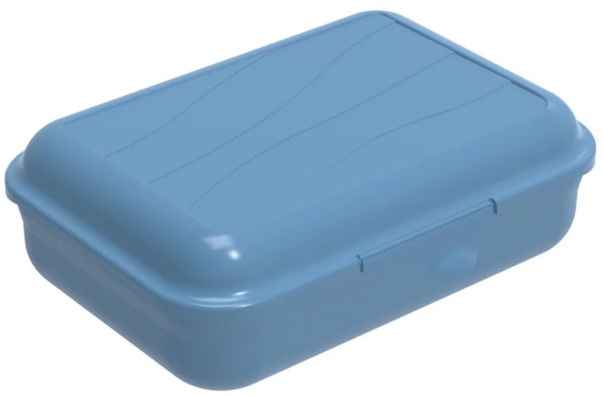 Fun Lunchbox met Verdeelschotje 0.9L Horizon van Rotho in Blauw – productfoto