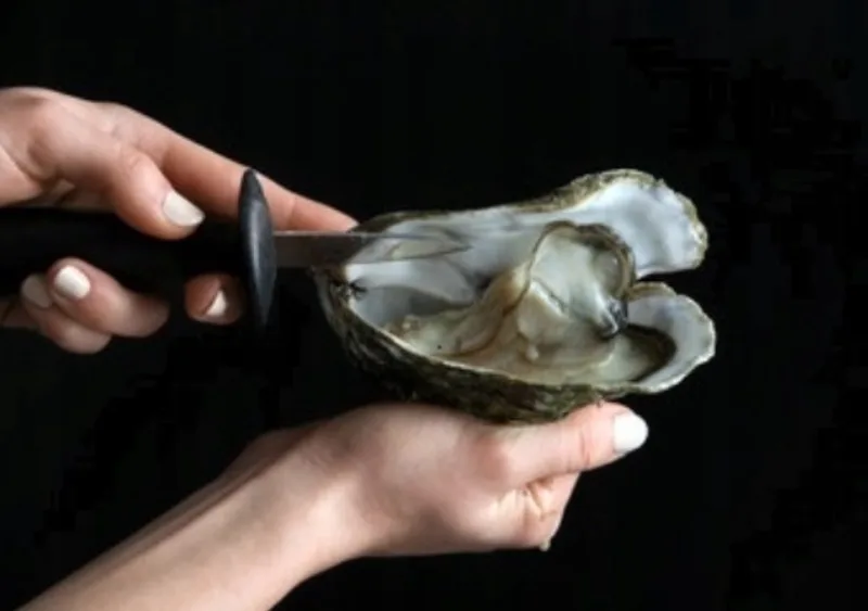 Oestermes - Mes om oesters mee te openen by Sabatier in Black – product photo