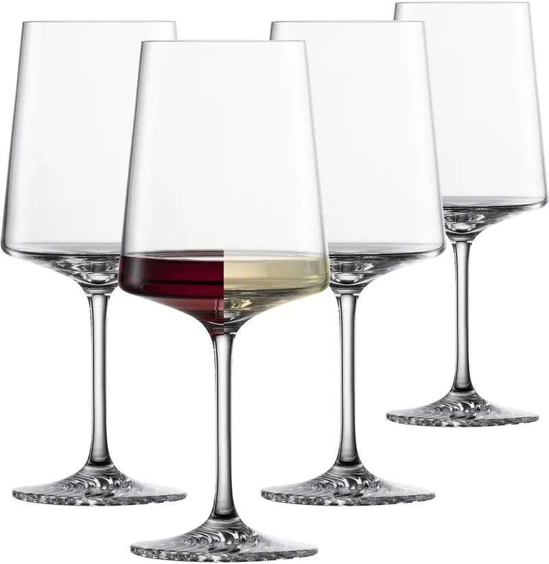 Echo Allround glas 0 - 0.572Ltr - set van 4 by Schott Zwiesel in Transparent – product photo