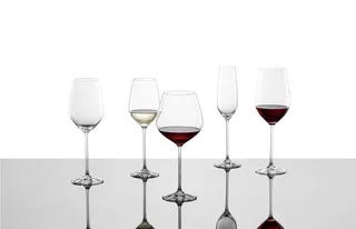 Fortissimo Witte wijnglas - 404ml - 4 glazen by Schott Zwiesel in Transparent – product photo 4 of 5