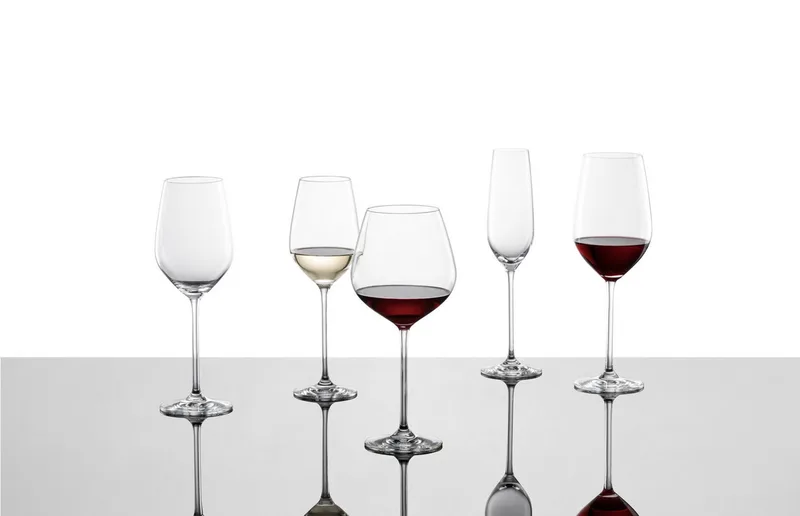 Fortissimo Witte wijnglas - 404ml - 4 glazen by Schott Zwiesel in Transparent – product photo 4 of 5