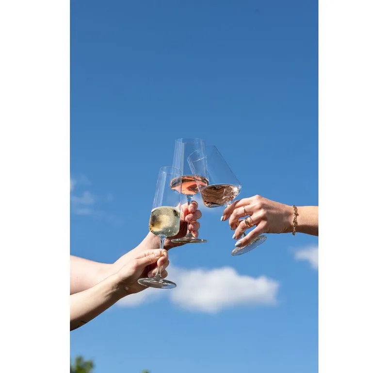 MioVino Champagneflûte met MP 7 - 0.26Ltr - 4 glazen von Schott Zwiesel in Transparent – Produktfoto 3 von 3