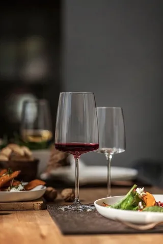 Sensa Wijnglas Fruity & Delicate 1 - 535ml - 6 stuks by Schott Zwiesel in Transparent – product photo 5 of 5