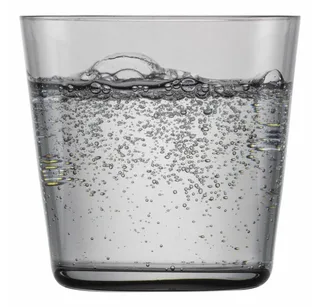 Together Waterglas grafiet 42 - 0.367 Ltr - set van 4 by Schott Zwiesel in Transparent – product photo 2 of 2
