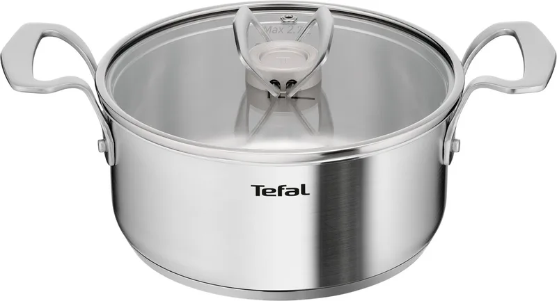 Extreme Steelpan met Deksel - 20 cm, 2.7L, Inductie Geschikt by Tefal in Silver – product photo