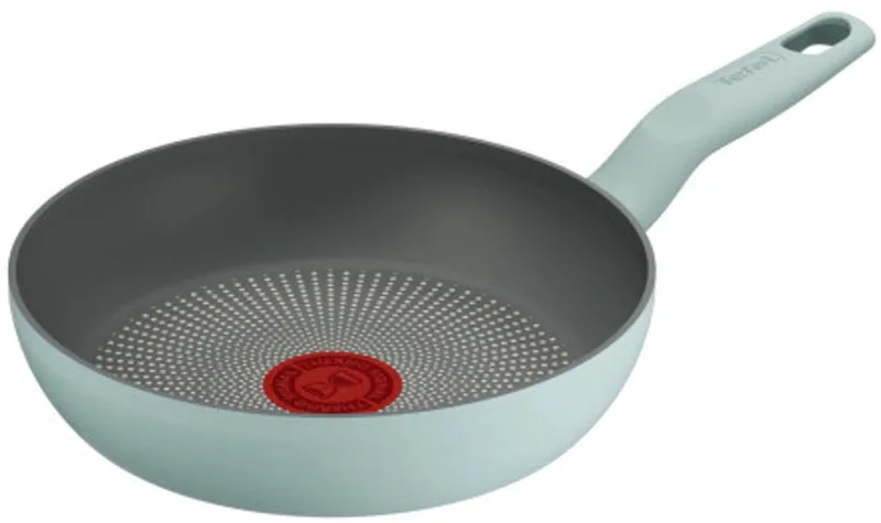 Halo Koekenpan 20 cm – TITANIUM - G0160202 von Tefal in Eucalyptus – Produktfoto
