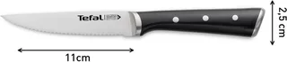 Ice Force - Steakmes - 11 cm - 4-delige Set - RVS - IJsgehard - Ergonomisch by Tefal in Black – product photo 5 of 5