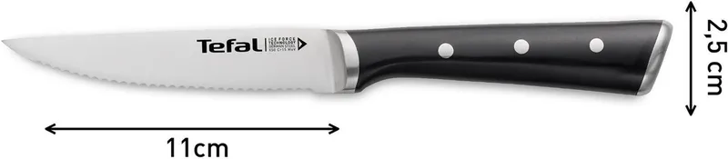 Ice Force - Steakmes - 11 cm - 4-delige Set - RVS - IJsgehard - Ergonomisch by Tefal in Black – product photo 5 of 5
