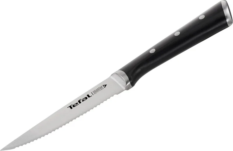 Ice Force - Steakmes - 11 cm - 4-delige Set - RVS - IJsgehard - Ergonomisch by Tefal in Black – product photo 3 of 5