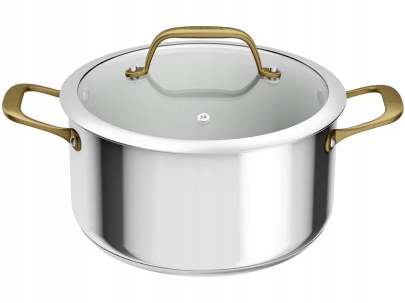 Paul Bocuse Braadpan RVS 24 cm met Deksel by Tefal in Silver, Gold – product photo
