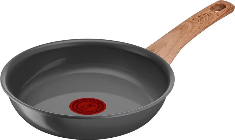 Renew Braadpan 20cm - Aluminium - Ø20 cm by Tefal in Grey – product photo