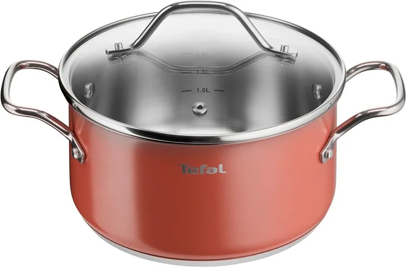 RVS Kookpan met Anti-aanbaklaag, 2.9L, 20cm by Tefal in Silver – product photo