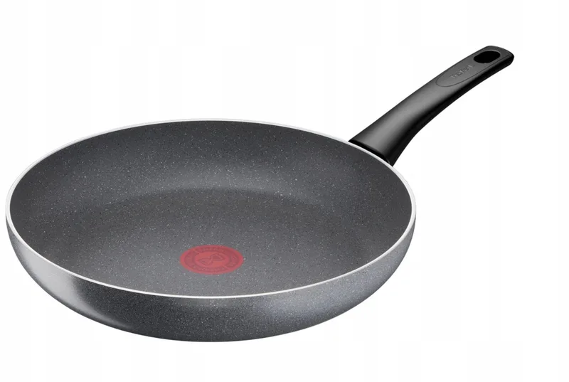 Traditonele Koekenpan 28 cm - Duurzaam & Gezond by Tefal in Grey – product photo