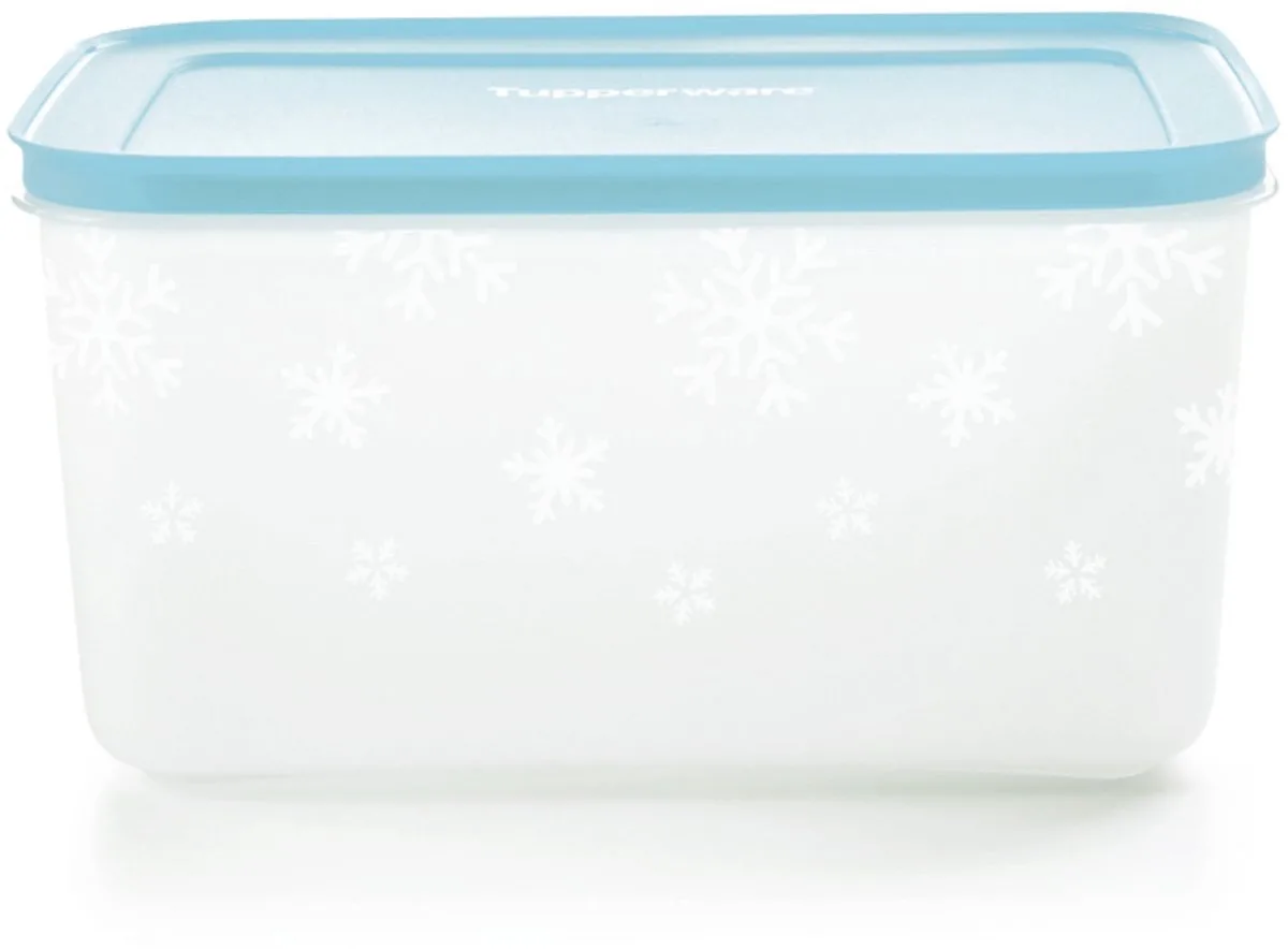 diepvriesdoos groot Iglo 2,5 liter de Tupperware en Melkwit, Blauwe deksel – photo produit