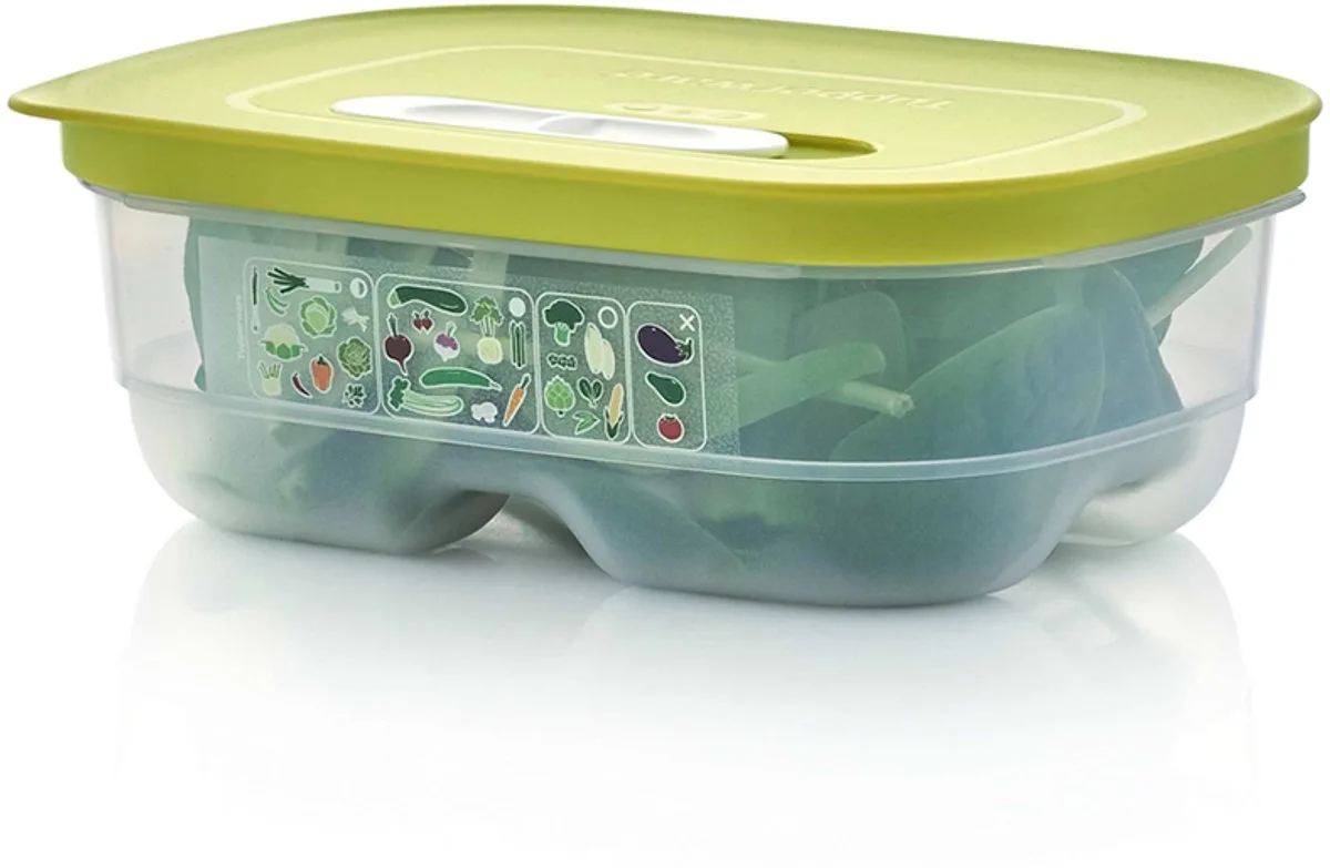 Fridge Smart 0,8l - Vershoudbakjes - BPA-vrij - Voorraadpot - Lunchbox - Plastic Bakjes - Voedselcontainer - Voedsel blijft 2 keer langer vers van Tupperware in Meerkleurig – productfoto