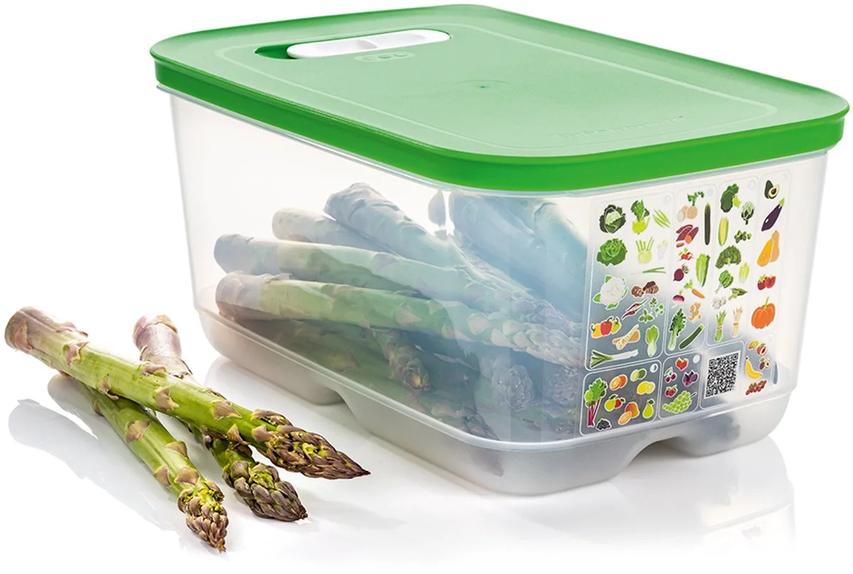 Fridge Smart 4,4l - Vershoudbakjes - BPA-vrij - Voorraadpot - Lunchbox - Plastic Bakjes - Voedselcontainer - Voedsel blijft 2 keer langer vers by Tupperware in Multicolour – product photo
