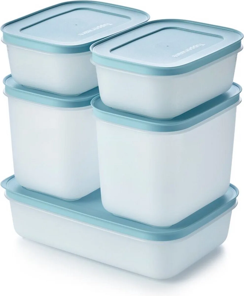 Igloo Diepvriesdozen Set 5 stuks - Alaska Diepvriesbakjes Bakjes Diepvries Blauw de Tupperware en Bleu, Wi – photo produit