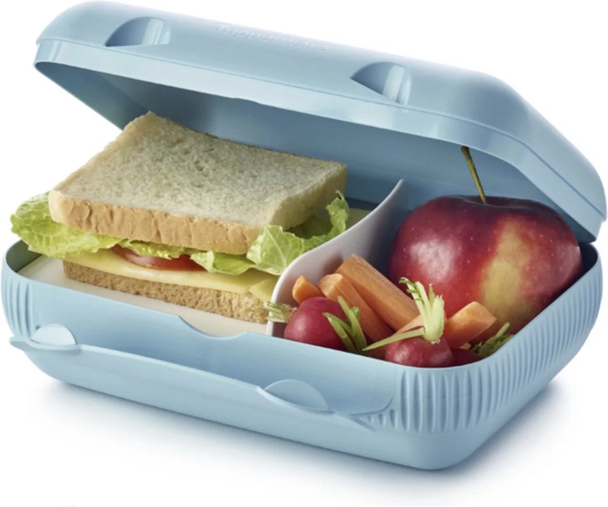 Snackpack, broodtrommel (nieuwste kleur) van Tupperware in Lichtblauw – productfoto
