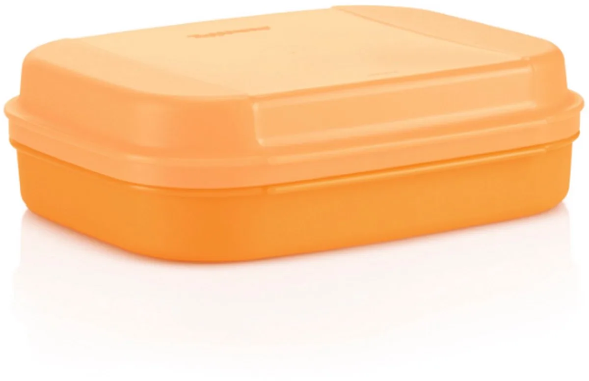 Variadoos Laag - Koektrommel Scharnierdoos van Tupperware in Roze – productfoto