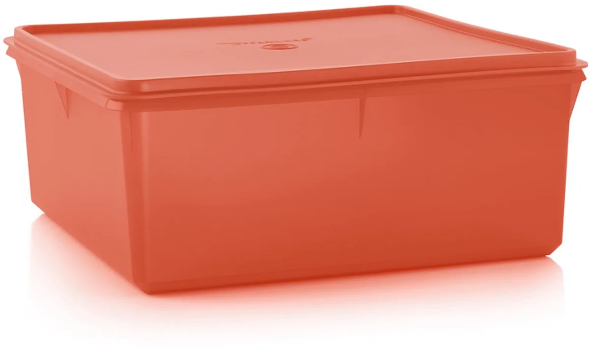wafeldoos ( voorraaddoos 10 liter) van Tupperware in Oranje, Rood oud Hollands – productfoto