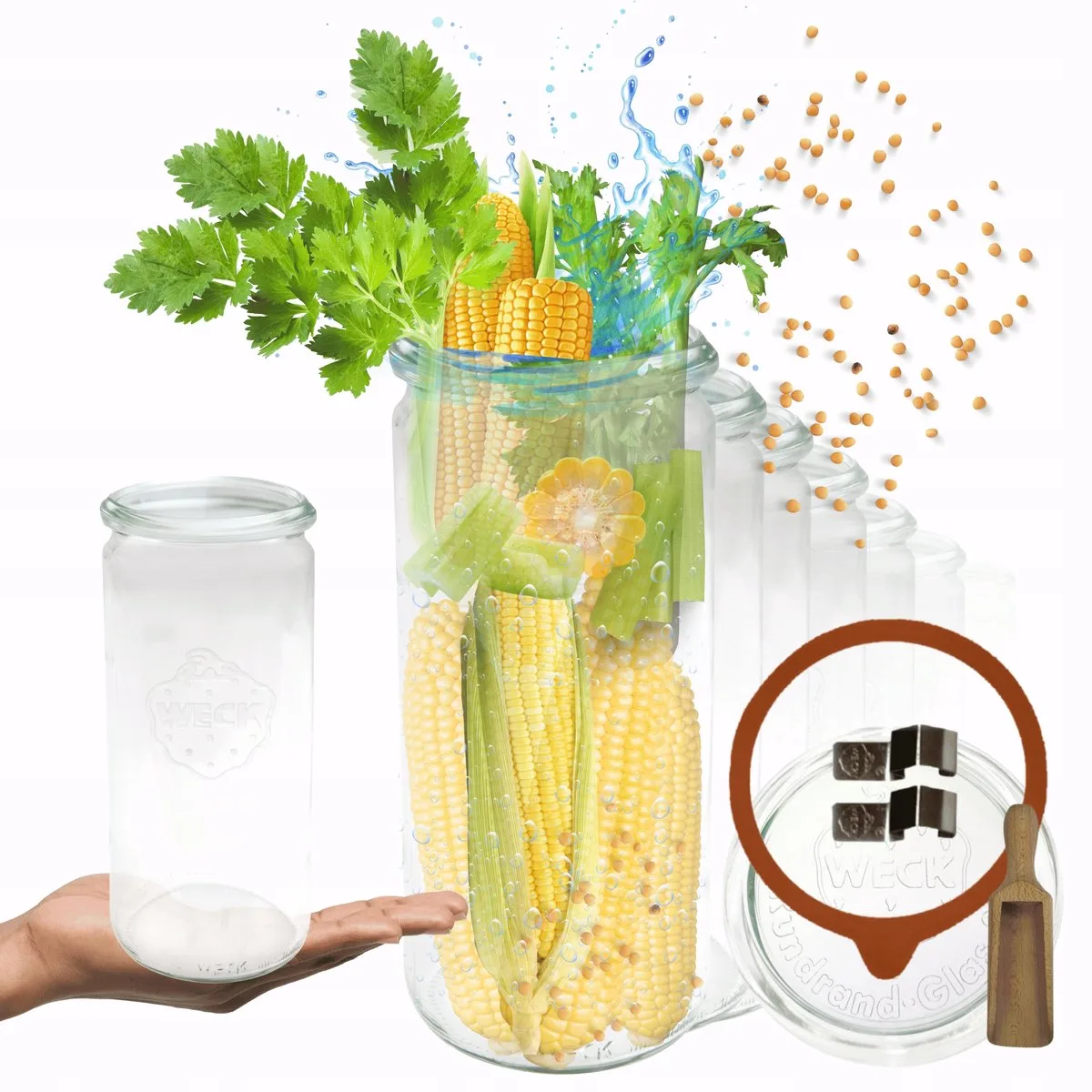 glazen potten 1L met maatbeker, sluitringen en clips, 6 stuks van Weck in Transparant – productfoto