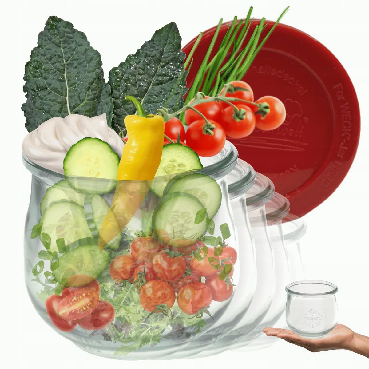 Weckpot 370 ml met siliconen deksel - 6 stuks - hittebestendig glas de Weck en Transparent – photo produit